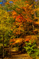 WISSAHICKON PA